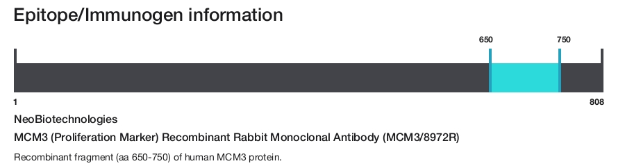 MCM3 (Proliferation Marker) Recombinant Rabbit Monoclonal Antibody (MCM3/8972R)