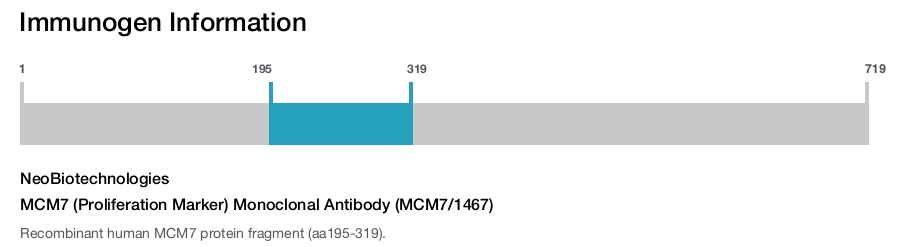 MCM7 (Proliferation Marker) Monoclonal Antibody (MCM7/1467)