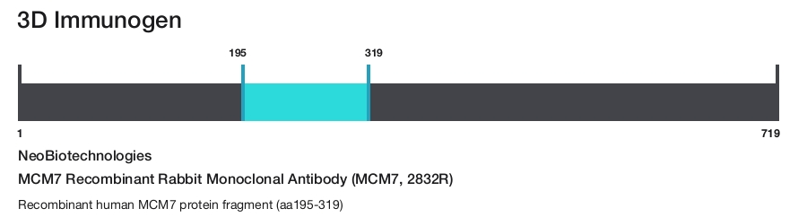 MCM7 Recombinant Rabbit Monoclonal Antibody (MCM7, 2832R)
