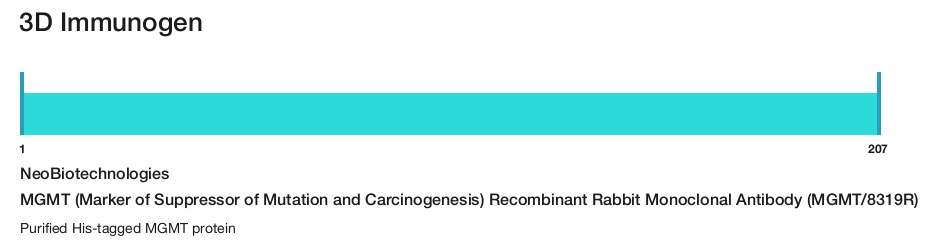 MGMT (Marker of Suppressor of Mutation and Carcinogenesis) Recombinant Rabbit Monoclonal Antibody (MGMT/8319R)