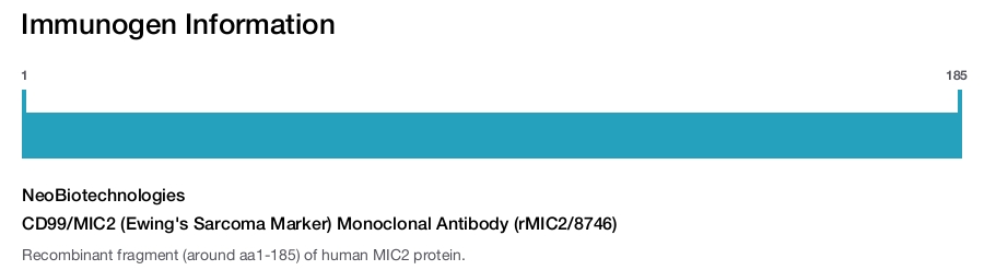 CD99/MIC2 (Ewing's Sarcoma Marker) Monoclonal Antibody (rMIC2/8746)