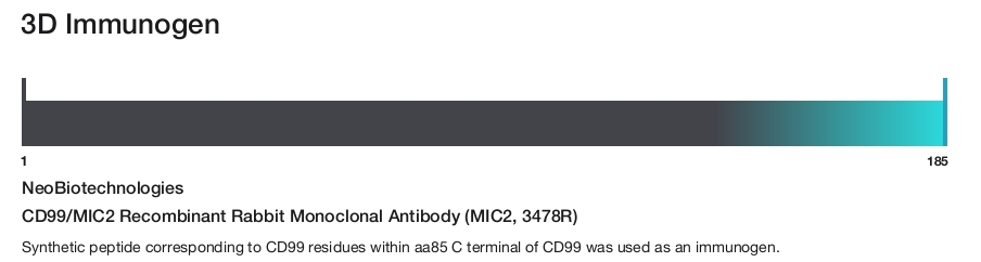 CD99/MIC2 Recombinant Rabbit Monoclonal Antibody (MIC2, 3478R)