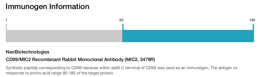 CD99/MIC2 Recombinant Rabbit Monoclonal Antibody (MIC2, 3478R)