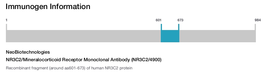 NR3C2/Mineralocorticoid Receptor Monoclonal Antibody (NR3C2/4900)