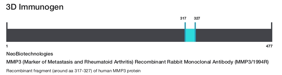 MMP3 (Marker of Metastasis and Rheumatoid Arthritis) Recombinant Rabbit Monoclonal Antibody (MMP3/1994R)