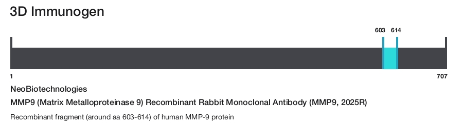 MMP9 (Matrix Metalloproteinase 9) Recombinant Rabbit Monoclonal Antibody (MMP9, 2025R)