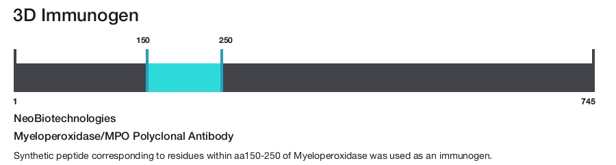 Myeloperoxidase/MPO Polyclonal Antibody