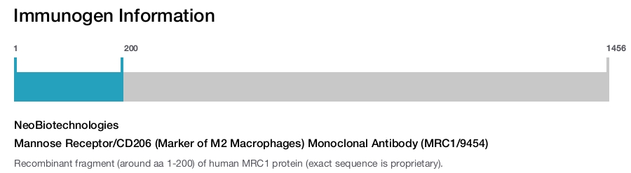 Mannose Receptor/CD206 (Marker of M2 Macrophages) Monoclonal Antibody (MRC1/9454)
