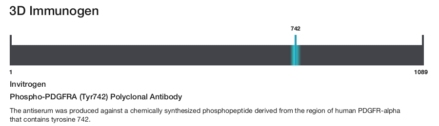 Phospho-PDGFRA (Tyr742) Polyclonal Antibody