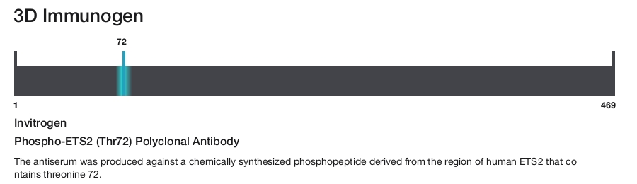 Phospho-ETS2 (Thr72) Polyclonal Antibody
