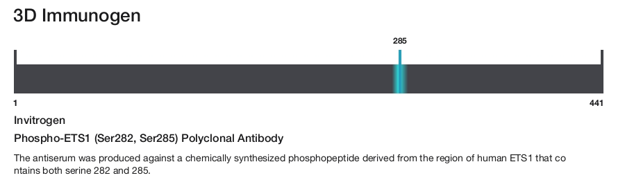 Phospho-ETS1 (Ser282, Ser285) Polyclonal Antibody