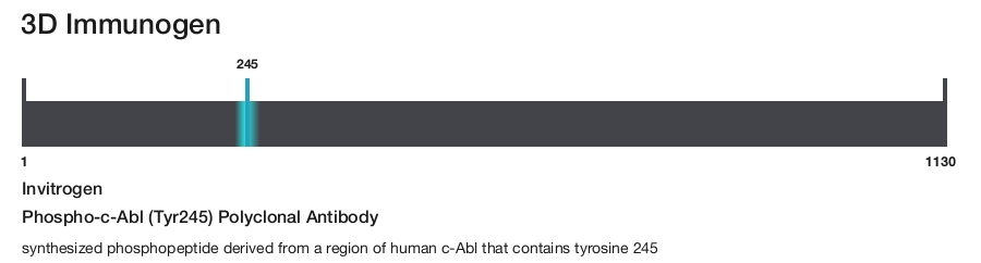 Phospho-c-Abl (Tyr245) Polyclonal Antibody