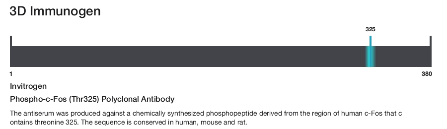 Phospho-c-Fos (Thr325) Polyclonal Antibody