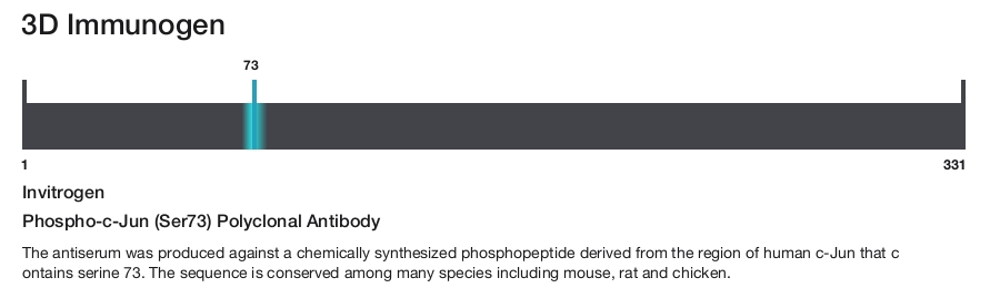 Phospho-c-Jun (Ser73) Polyclonal Antibody