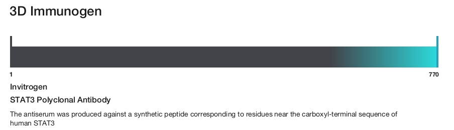STAT3 Polyclonal Antibody