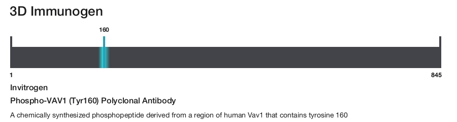 Phospho-VAV1 (Tyr160) Polyclonal Antibody