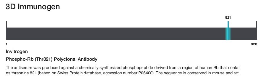 Phospho-Rb (Thr821) Polyclonal Antibody