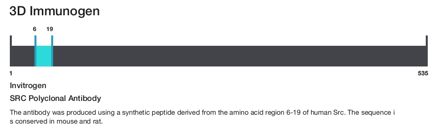 SRC Polyclonal Antibody