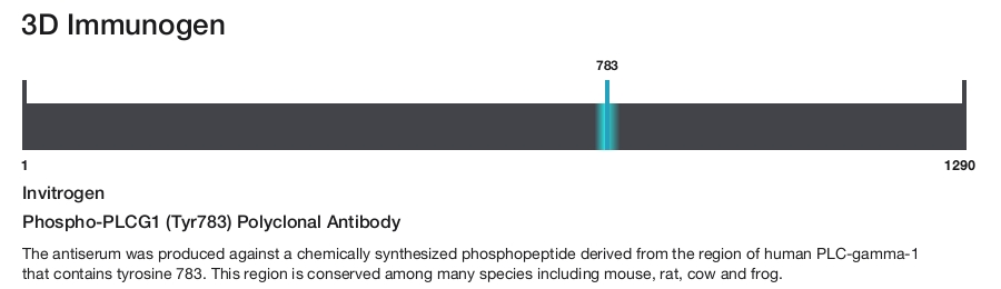 Phospho-PLCG1 (Tyr783) Polyclonal Antibody