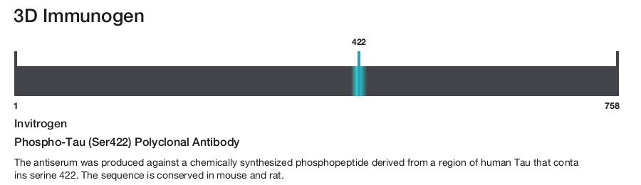 Phospho-Tau (Ser422) Polyclonal Antibody