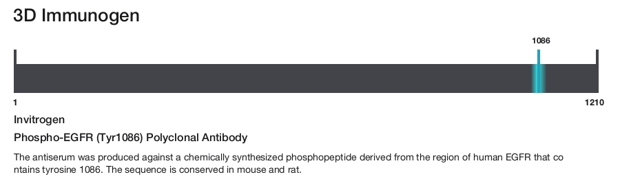 Phospho-EGFR (Tyr1086) Polyclonal Antibody