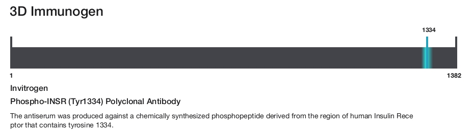 Phospho-INSR (Tyr1334) Polyclonal Antibody