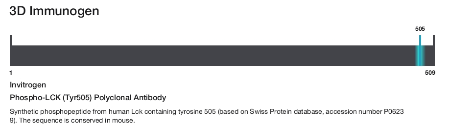 Phospho-LCK (Tyr505) Polyclonal Antibody