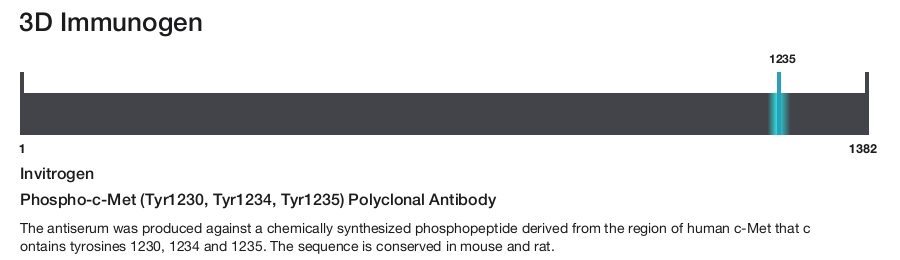 Phospho-c-Met (Tyr1230, Tyr1234, Tyr1235) Polyclonal Antibody