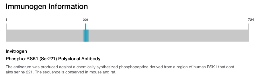 Phospho-RSK1 (Ser221) Polyclonal Antibody