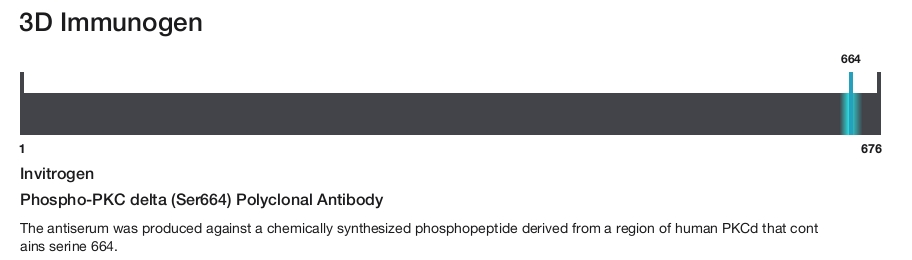 Phospho-PKC delta (Ser664) Polyclonal Antibody