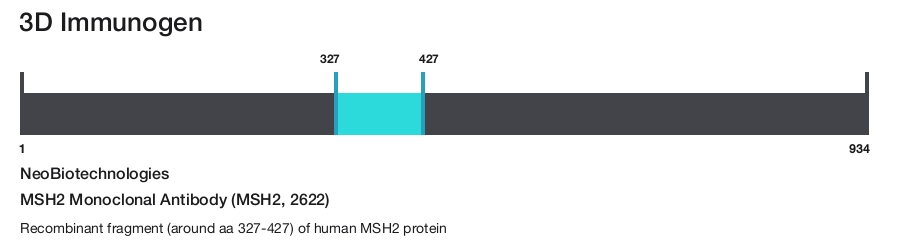 MSH2 Monoclonal Antibody (MSH2, 2622)