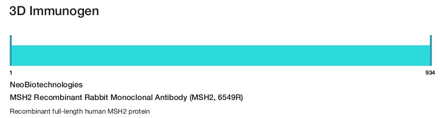 MSH2 Recombinant Rabbit Monoclonal Antibody (MSH2, 6549R)