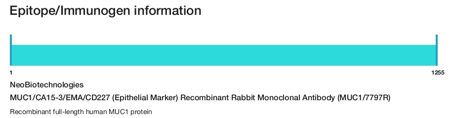 MUC1/CA15-3/EMA/CD227 (Epithelial Marker) Recombinant Rabbit Monoclonal Antibody (MUC1/7797R)