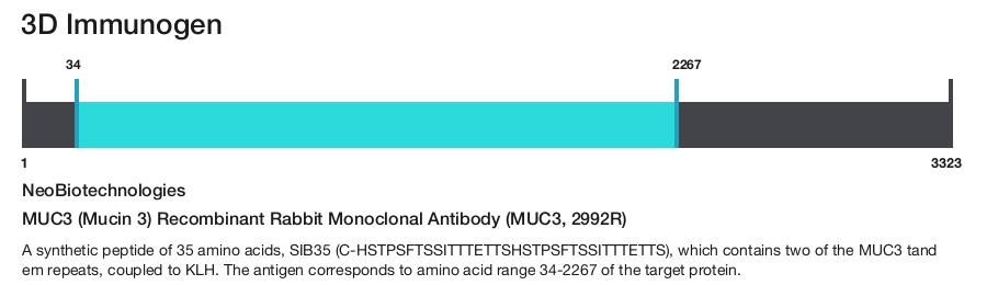MUC3 (Mucin 3) Recombinant Rabbit Monoclonal Antibody (MUC3, 2992R)