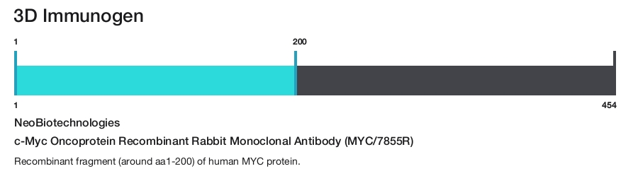 c-Myc Oncoprotein Recombinant Rabbit Monoclonal Antibody (MYC/7855R)