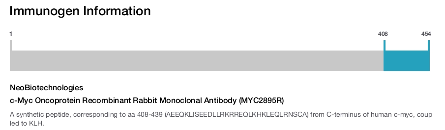 c-Myc Oncoprotein Recombinant Rabbit Monoclonal Antibody (MYC2895R)