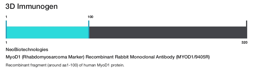 MyoD1 (Rhabdomyosarcoma Marker) Recombinant Rabbit Monoclonal Antibody (MYOD1/9405R)