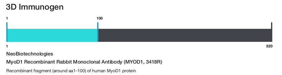 MyoD1 Recombinant Rabbit Monoclonal Antibody (MYOD1, 3418R)