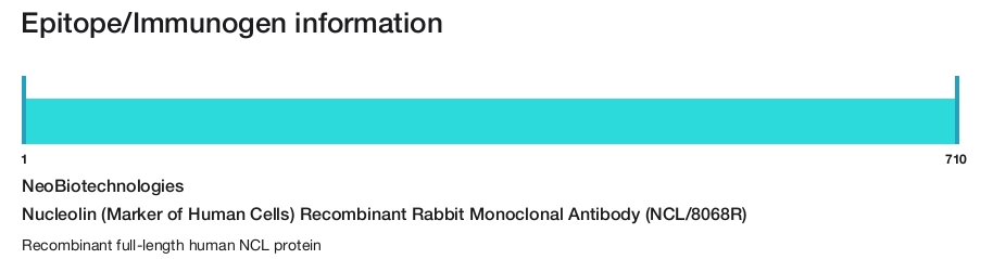 Nucleolin (Marker of Human Cells) Recombinant Rabbit Monoclonal Antibody (NCL/8068R)