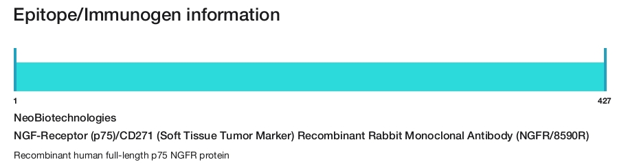 NGF-Receptor (p75)/CD271 (Soft Tissue Tumor Marker) Recombinant Rabbit Monoclonal Antibody (NGFR/8590R)