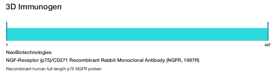 NGF-Receptor (p75)/CD271 Recombinant Rabbit Monoclonal Antibody (NGFR, 1997R)