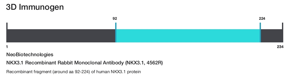 NKX3.1 Recombinant Rabbit Monoclonal Antibody (NKX3.1, 4562R)