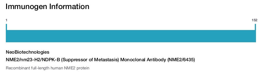 NME2/nm23-H2/NDPK-B (Suppressor of Metastasis) Monoclonal Antibody (NME2/6435)