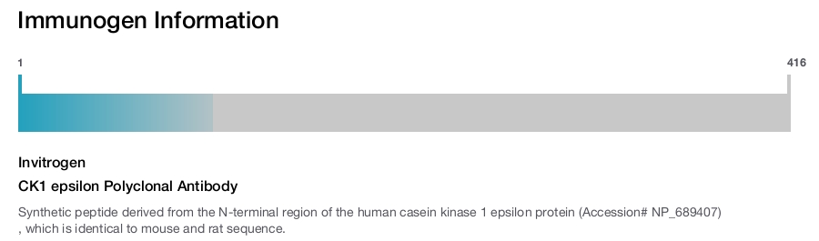 CK1 epsilon Polyclonal Antibody