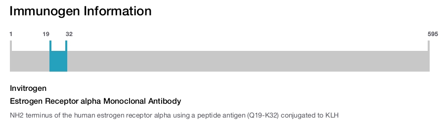 Estrogen Receptor alpha Monoclonal Antibody