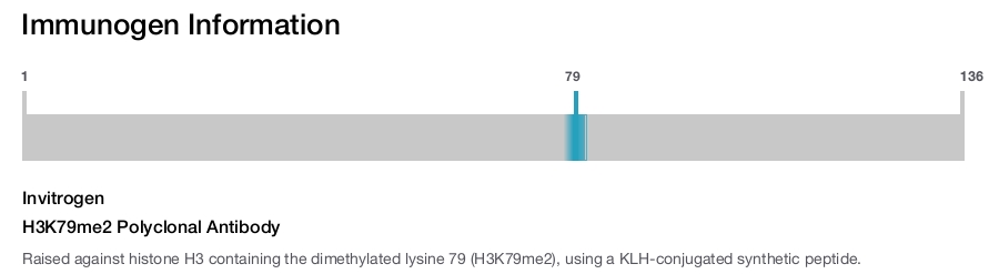 H3K79me2 Polyclonal Antibody
