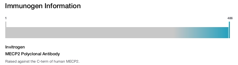 MECP2 Polyclonal Antibody