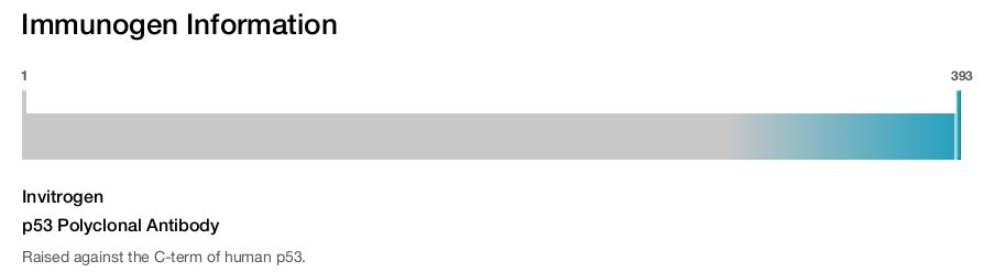 p53 Polyclonal Antibody