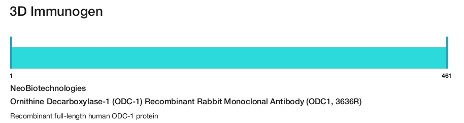 Ornithine Decarboxylase-1 (ODC-1) Recombinant Rabbit Monoclonal Antibody (ODC1, 3636R)