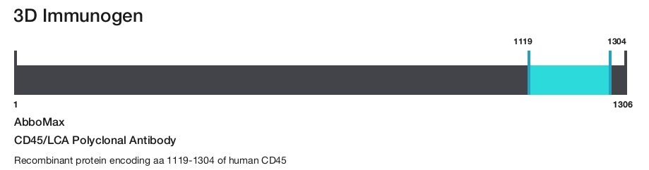 CD45/LCA Polyclonal Antibody